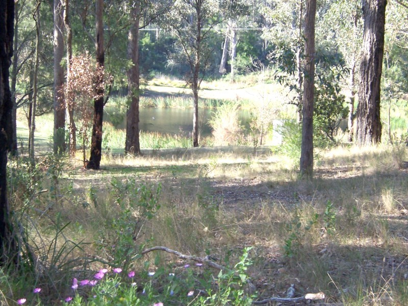 4462 Princes Hwy, Bodalla NSW 2545