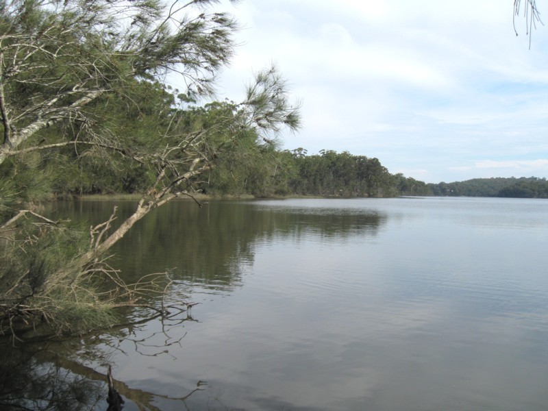 77 Borang Lake Road, Bodalla NSW 2545