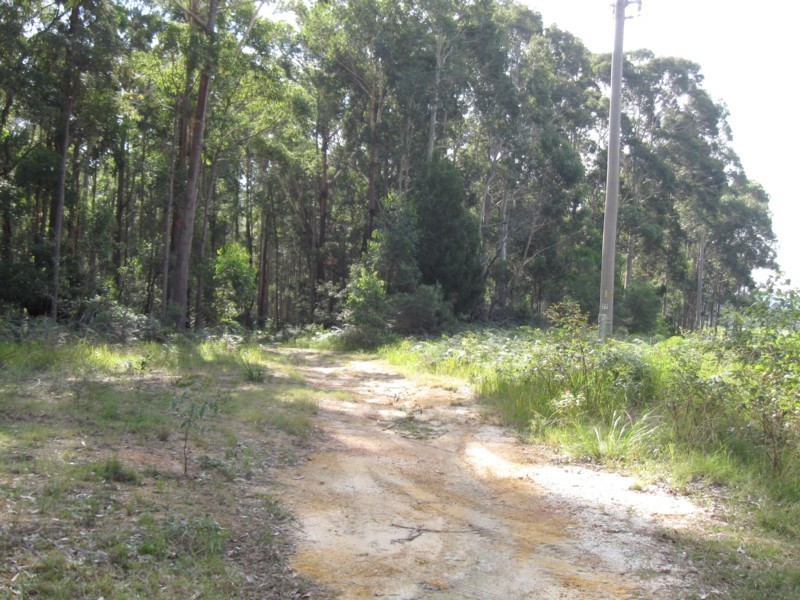 77 Borang Lake Road, Bodalla NSW 2545