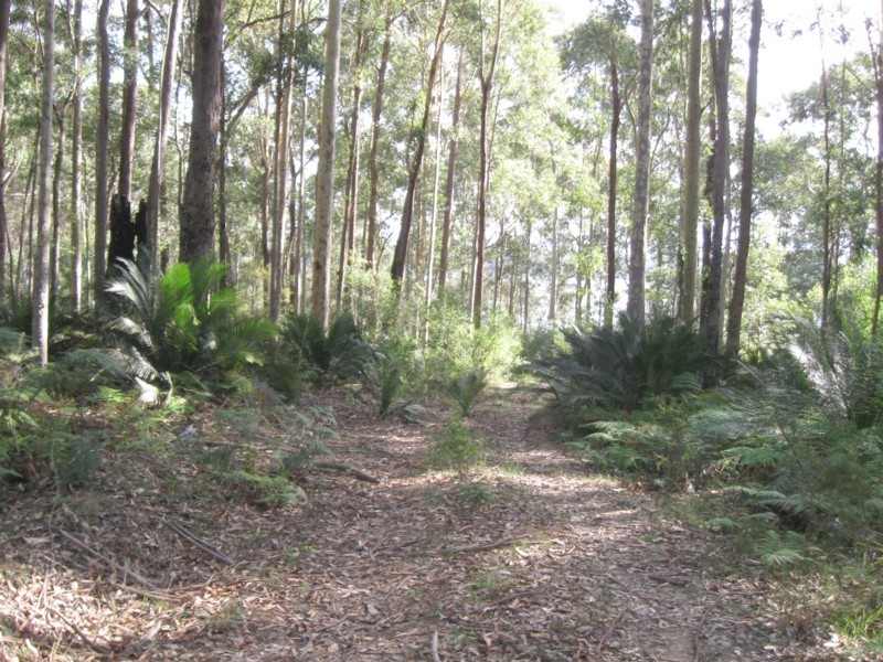 77 Borang Lake Road, Bodalla NSW 2545