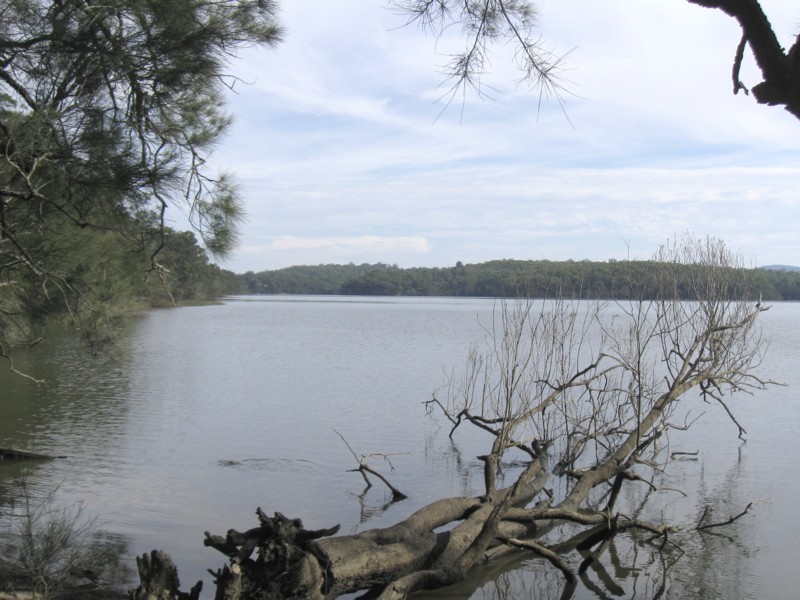 77 Borang Lake Road, Bodalla NSW 2545