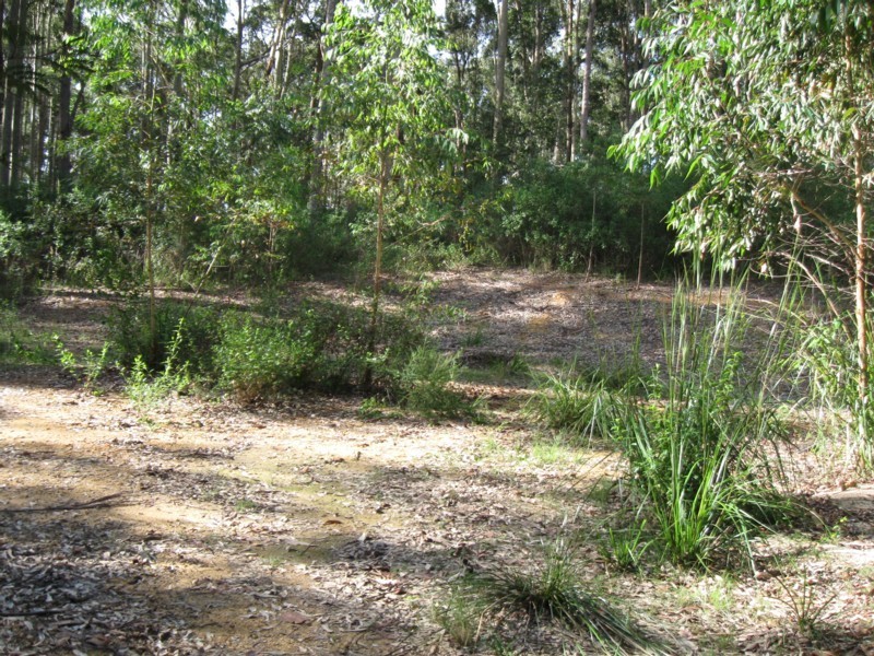 77 Borang Lake Road, Bodalla NSW 2545