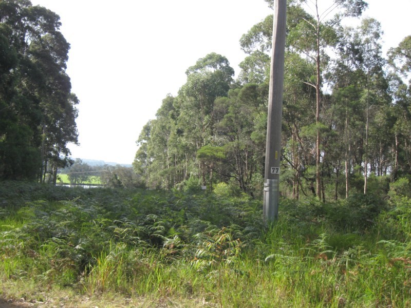 77 Borang Lake Road, Bodalla NSW 2545