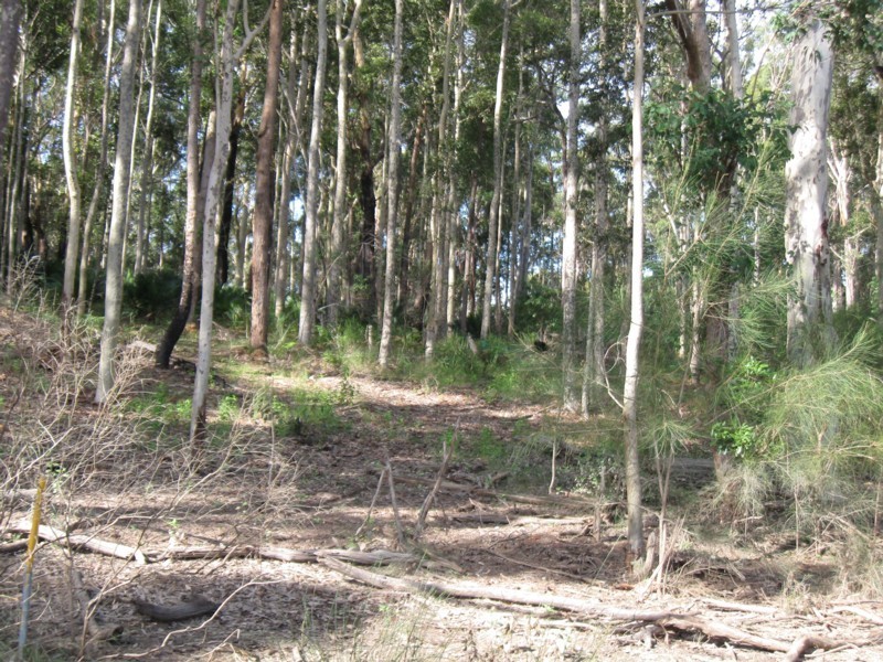 77 Borang Lake Road, Bodalla NSW 2545