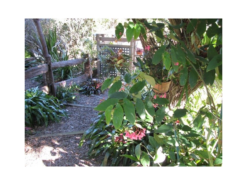 31 Elizabeth Street, Moruya Heads NSW 2537