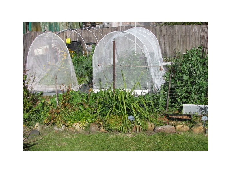 1 Shore Street, Moruya NSW 2537