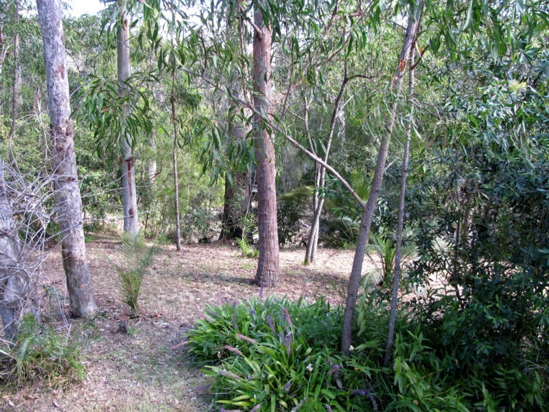 61 Annetts Parade, Mossy Point NSW 2537