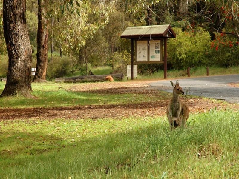 Lot 858 Caraway Avenue, Byford WA 6122