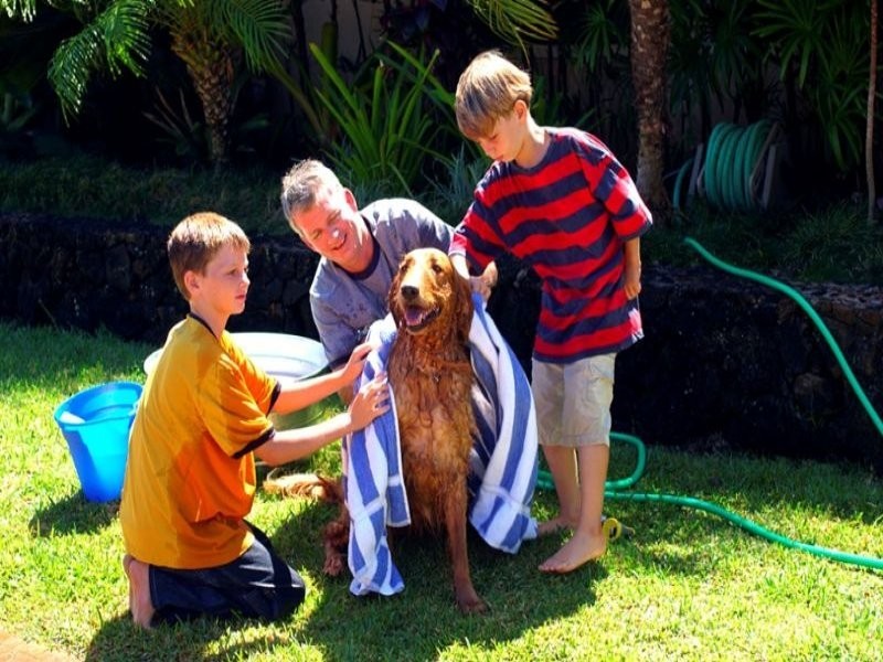 LOT 875 Gingerale Circle, Byford WA 6122