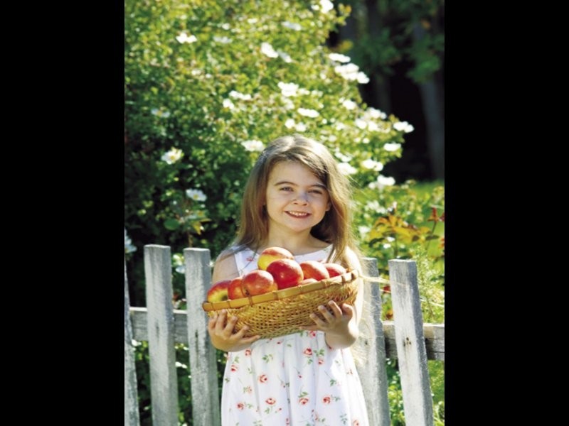 LOT 869 Gingerale Circle, Byford WA 6122