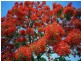 LOT 323 Tuart Estate Greenfields, Greenfields WA 6210