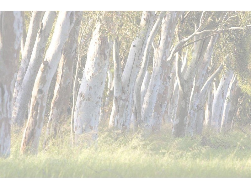 LOT 145 Tourmaline Boulevard, Byford WA 6122