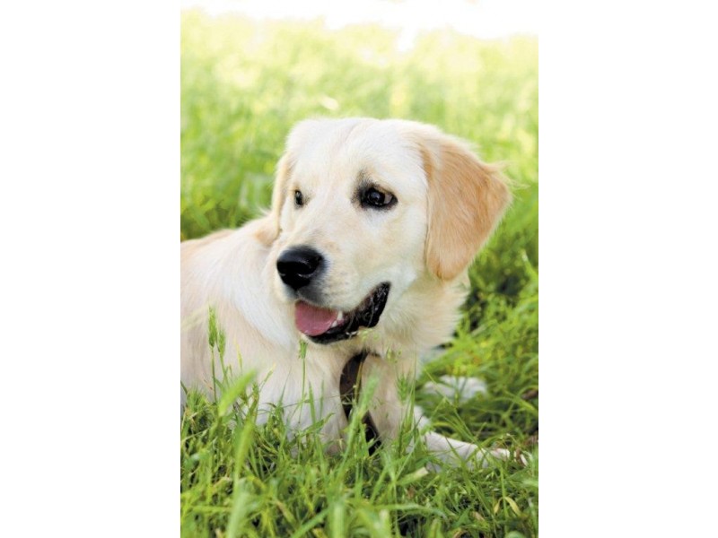 LOT 130 Obsidian Way, Byford WA 6122