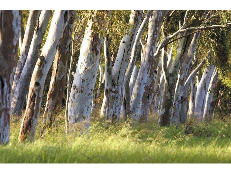 LOT 130 Obsidian Way, Byford WA 6122