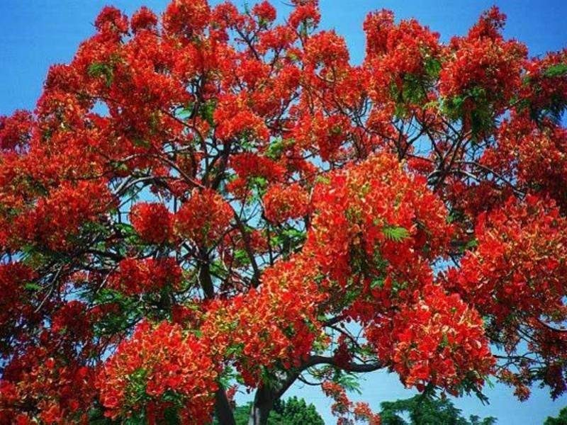 Lot 827 Menna Brace, Greenfields WA 6210