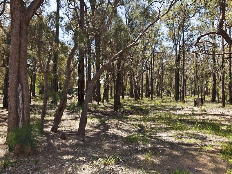 70 Forsyth Place, Chidlow WA 6556
