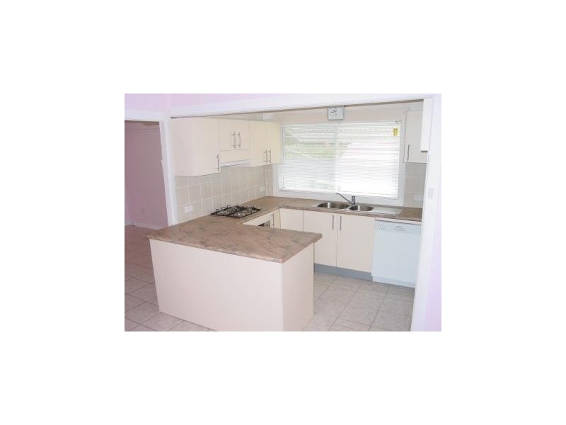 55 Conway Road, Bankstown NSW 2200