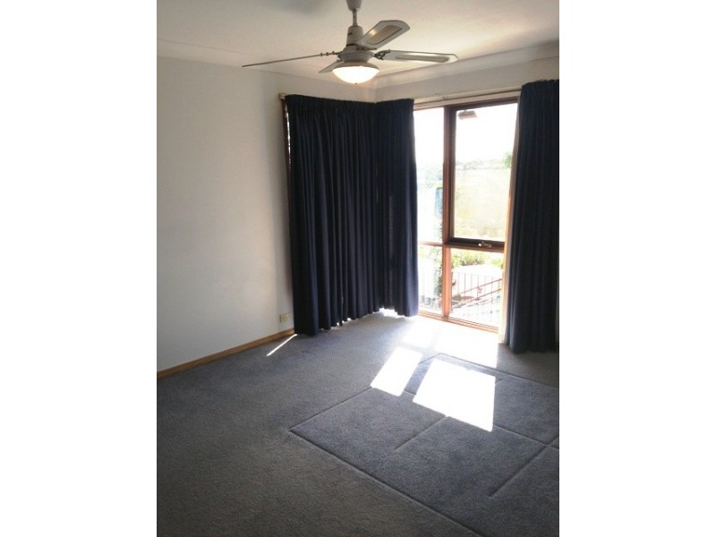 38 Dalton Avenue, Condell Park NSW 2200