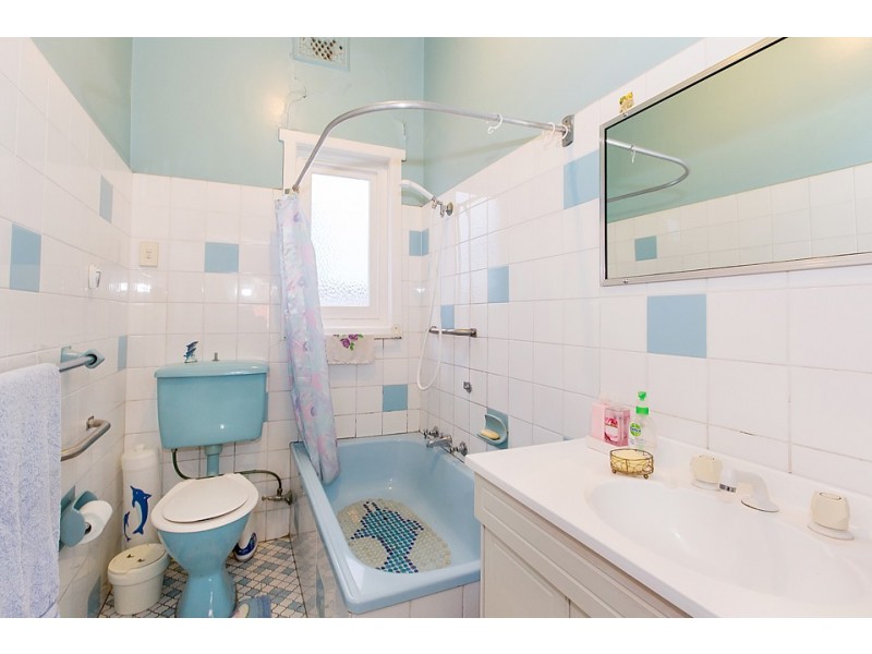 41 Catherine Street, Punchbowl NSW 2196