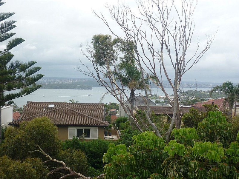 88 New South Head Road, Vaucluse NSW 2030