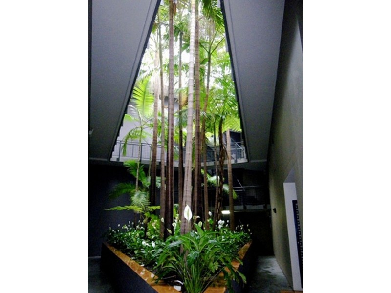 22/84 McLachlan Avenue, Rushcutters Bay NSW 2011