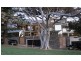 Figtree 18 Military Road, Watsons Bay NSW 2030