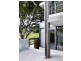 Figtree 18 Military Road, Watsons Bay NSW 2030