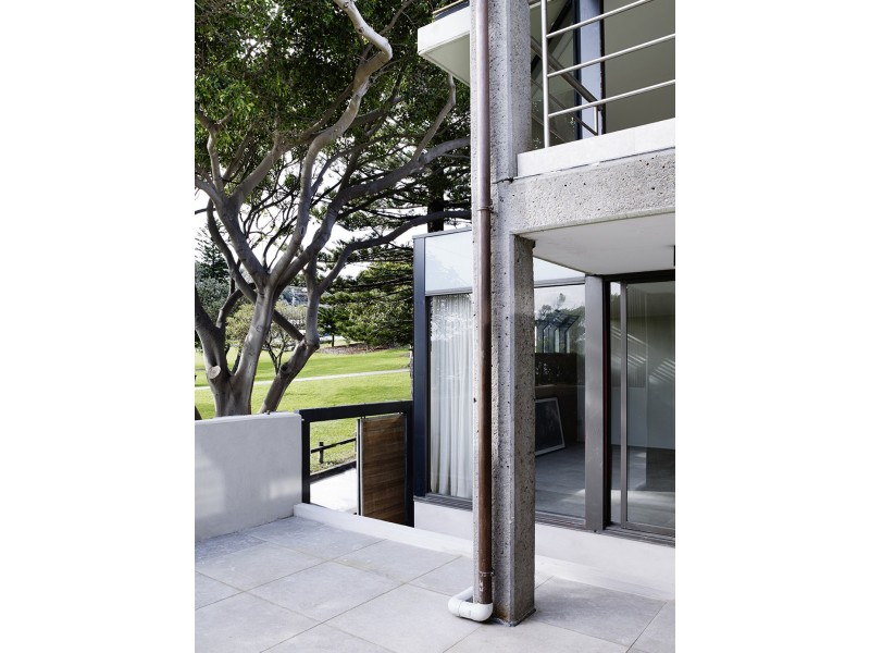 Figtree 18 Military Road, Watsons Bay NSW 2030