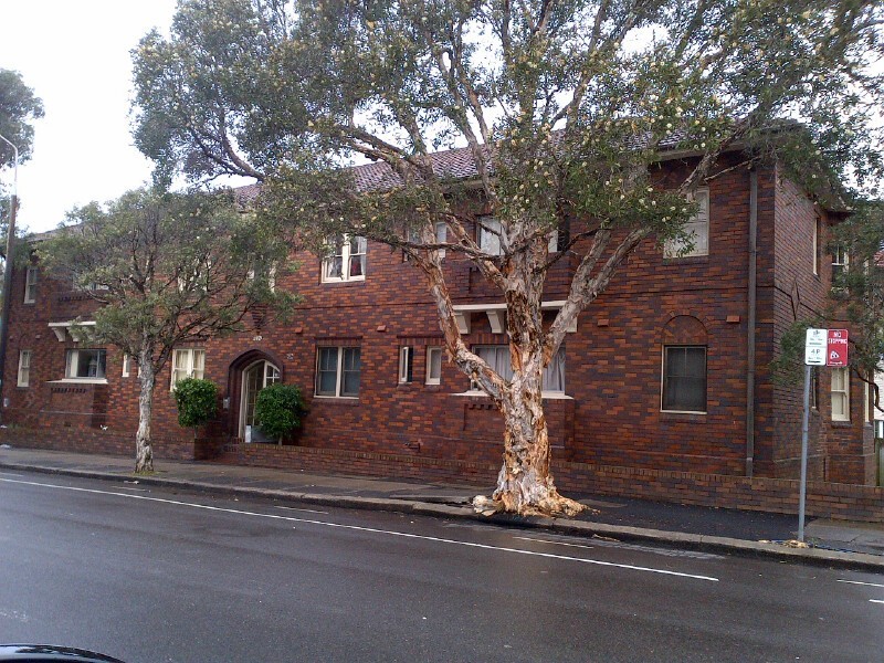 3/142A Glenayr Avenue, Bondi Beach NSW 2026