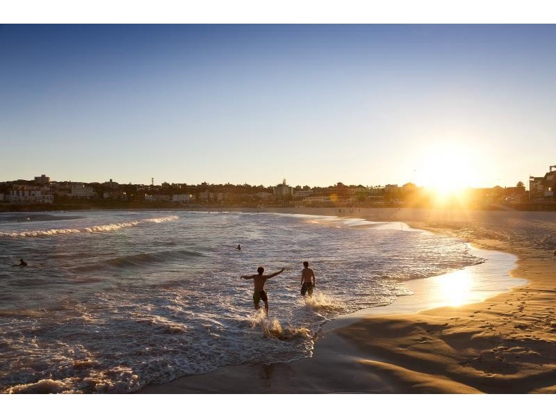 56 Anglesea Street, Bondi NSW 2026