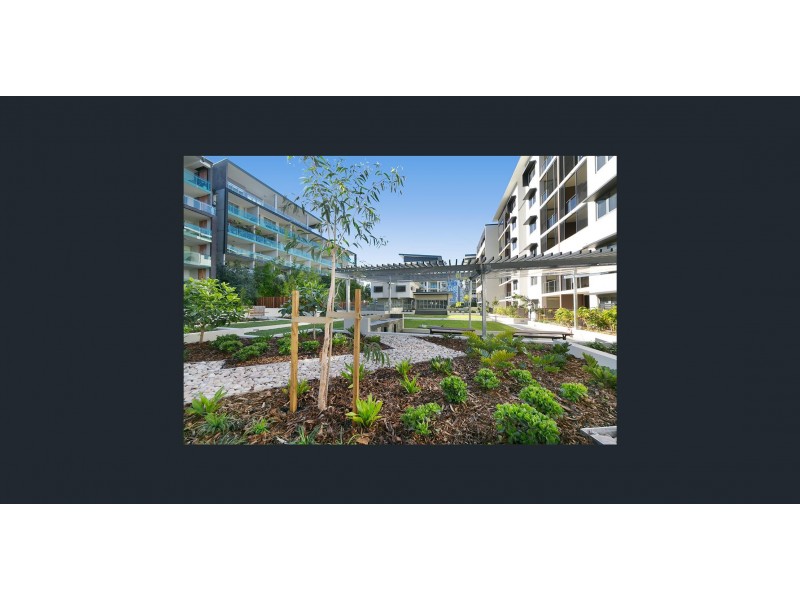 8518/43 Forbes Street, West End QLD 4101