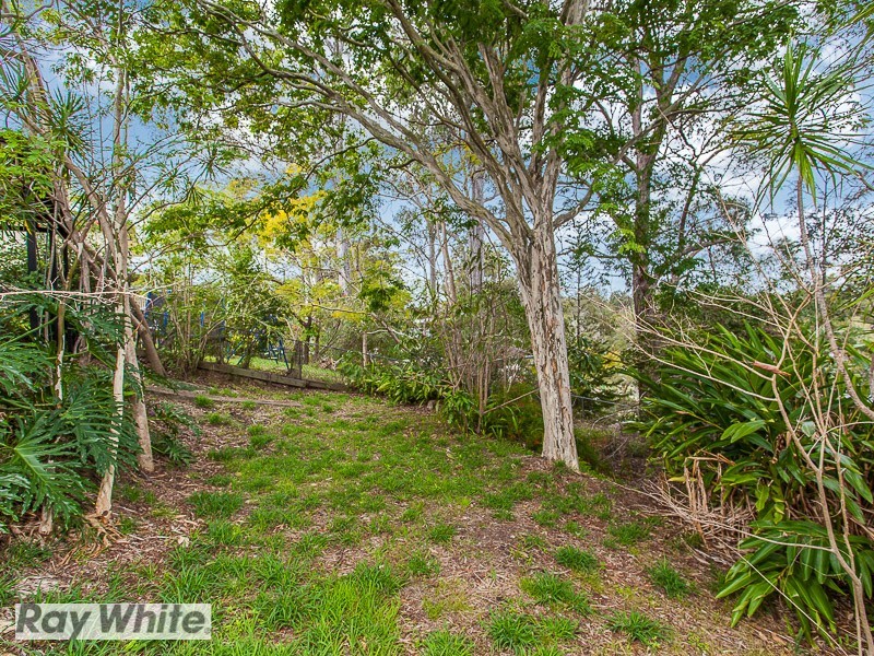 1000 South Pine Road, Everton Hills QLD 4053