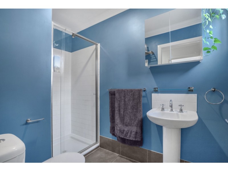 3/43 Norman Avenue, Lutwyche QLD 4030