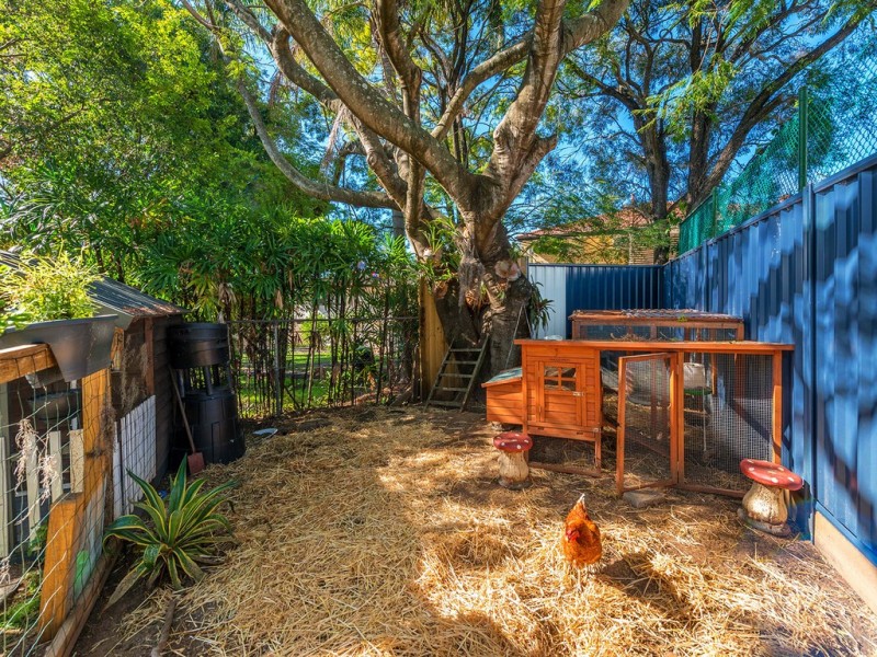 104 Niven Street, Stafford Heights QLD 4053