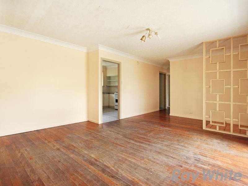 83 Park Avenue, Clayfield QLD 4011