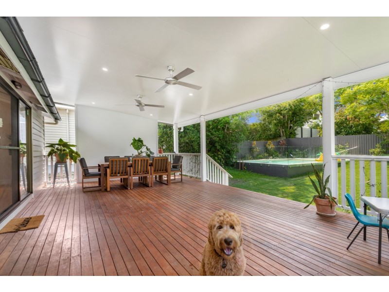 31 Myrtle Street, Grange QLD 4051