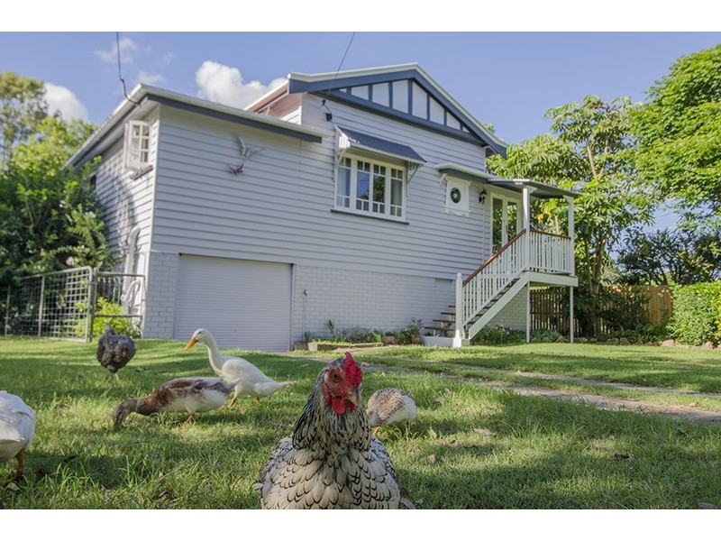 12 Gadara Street, Hendra QLD 4011