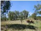 Lot 103 Boonah – Rathdowney Road, Boonah QLD 4310