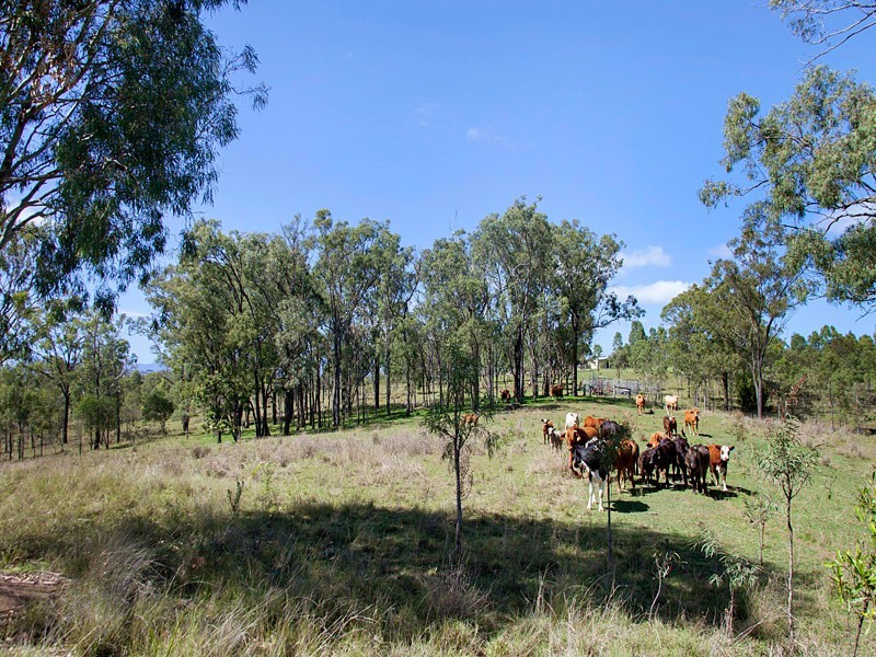 Lot 103 Boonah – Rathdowney Road, Boonah QLD 4310