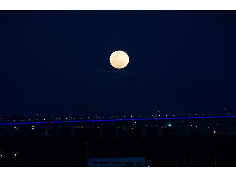 4131/37c Harbour Road, Hamilton QLD 4007