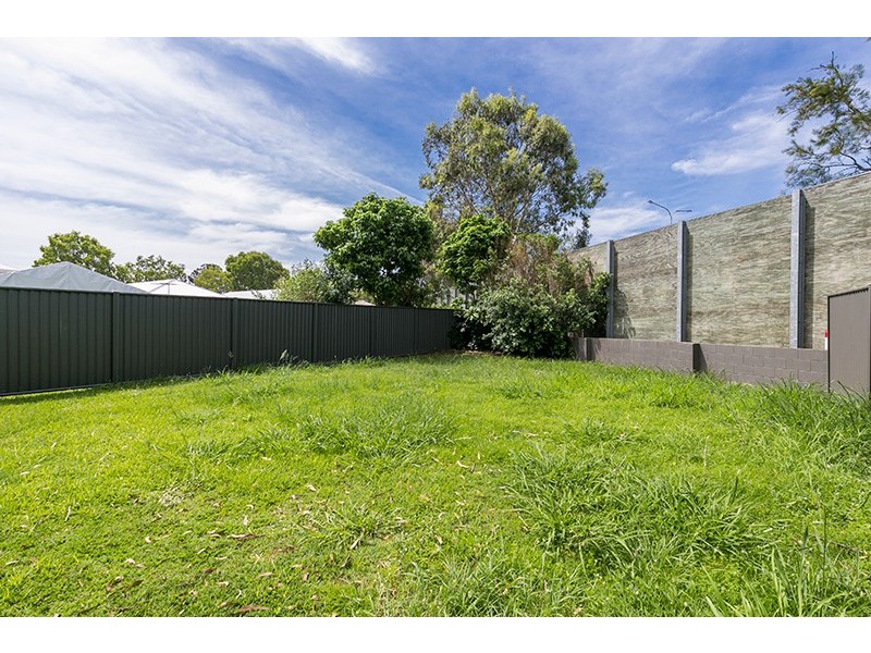 38 Webster Avenue, Hendra QLD 4011