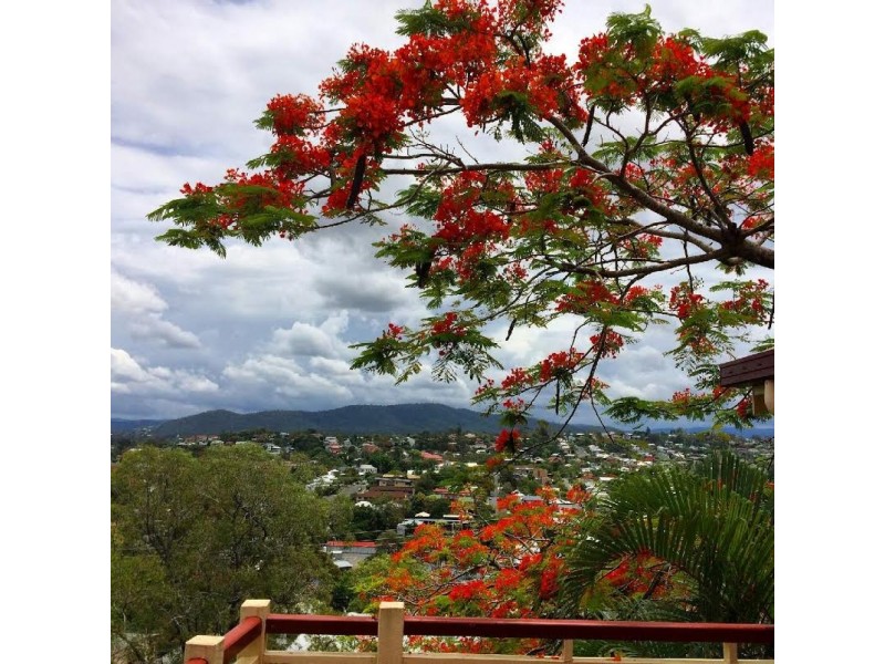 41 Lansdowne Street, Newmarket QLD 4051