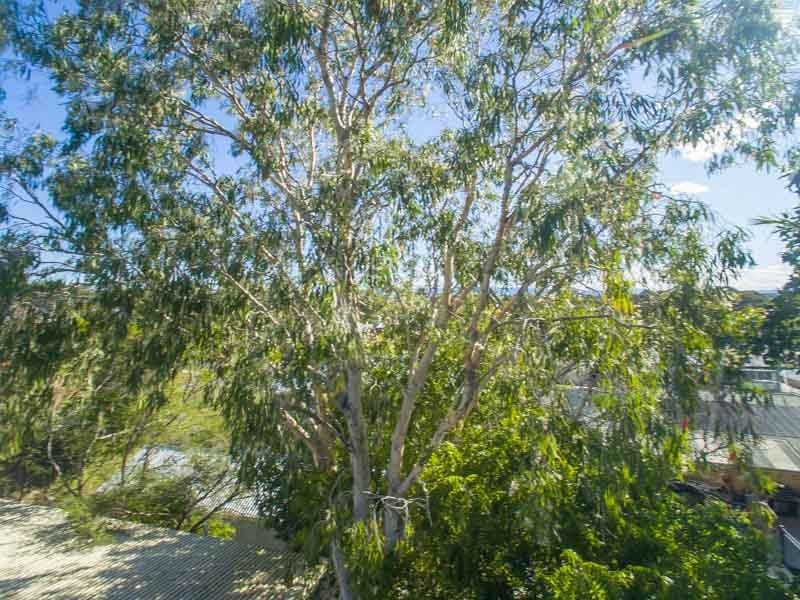 6 Neal Street, Brighton QLD 4017