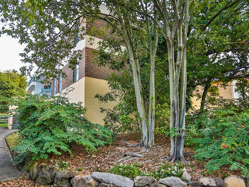 6/70 Butterfield Street, Herston QLD 4006