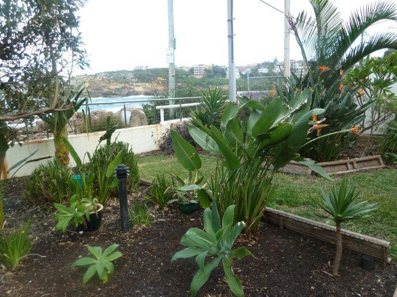 1/44 Cliffbrook Parade, Clovelly NSW 2031