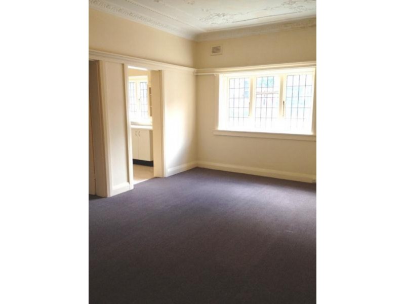 217 Anzac Pde, Kensington NSW 2033