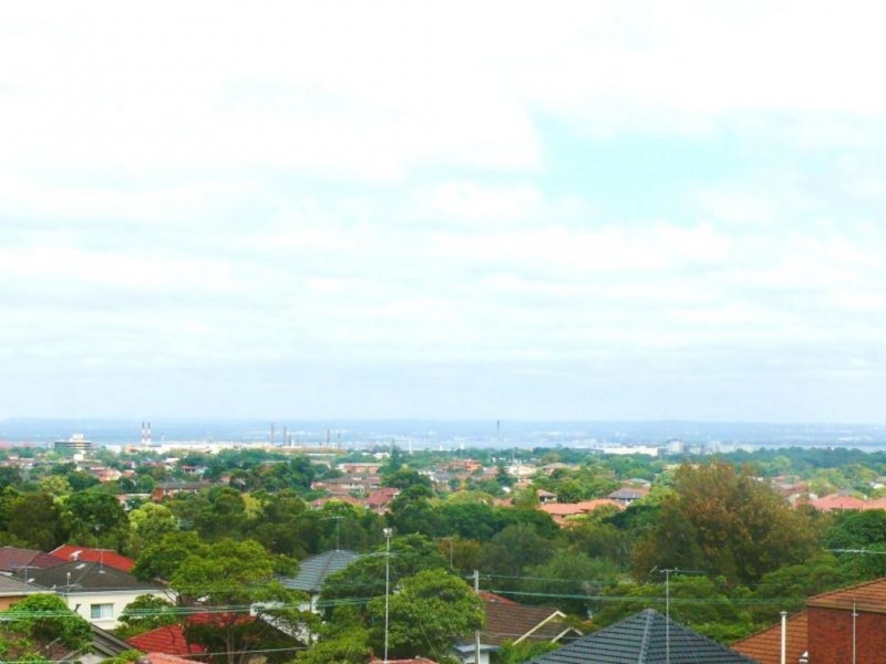 49 Helena Street, Randwick NSW 2031