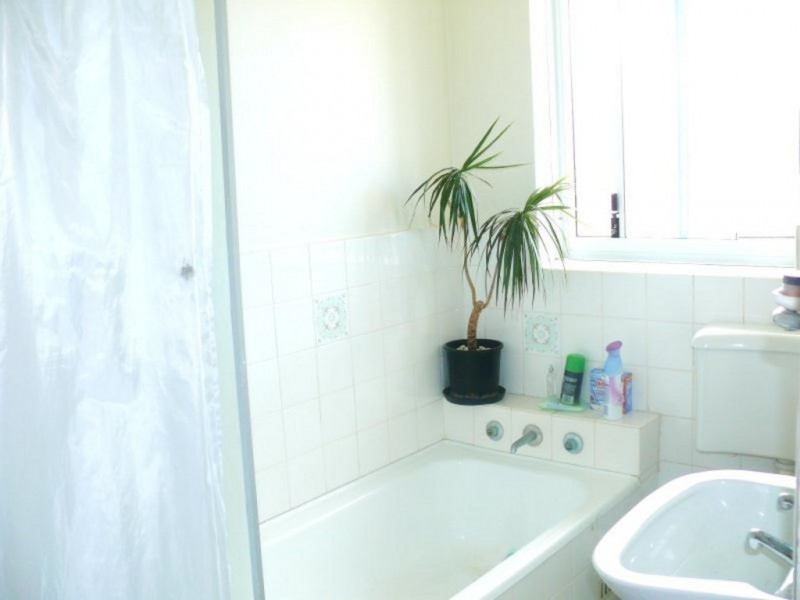 49 Helena Street, Randwick NSW 2031