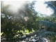 U/2 New South Head Road, Rushcutters Bay NSW 2011