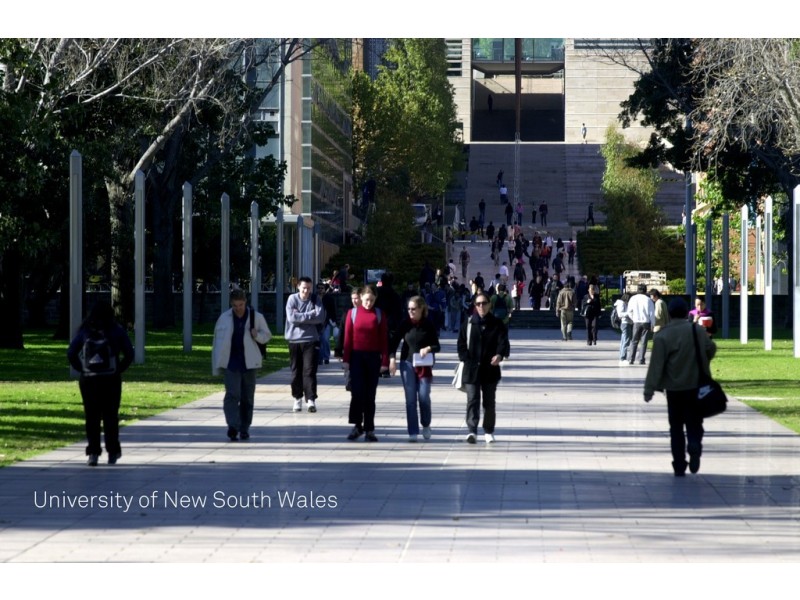 43 Willis Street, Kingsford NSW 2032